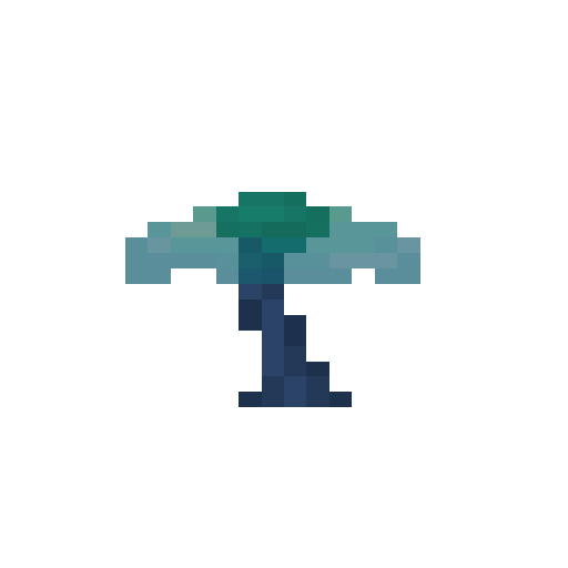 Umbrella Tree Sapling