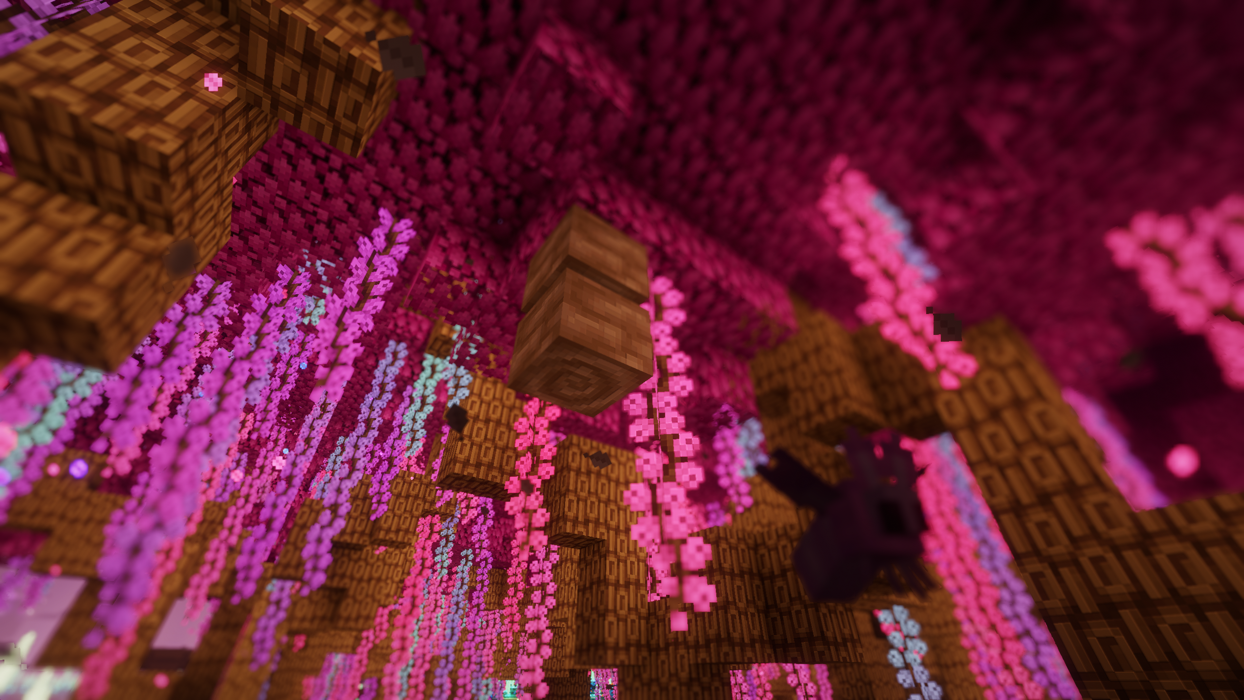 Silk Moth emerged from its nest