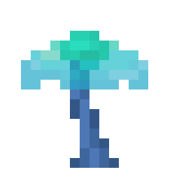 Umbrella Tree Sapling